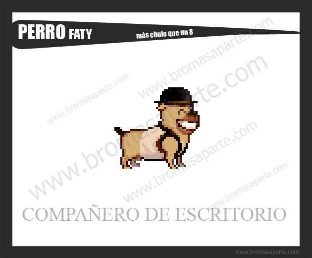 BromasAparte.com - Mascota perro Faty