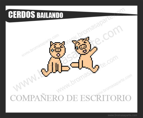 BromasAparte.com - Mascota cerdos bailarines