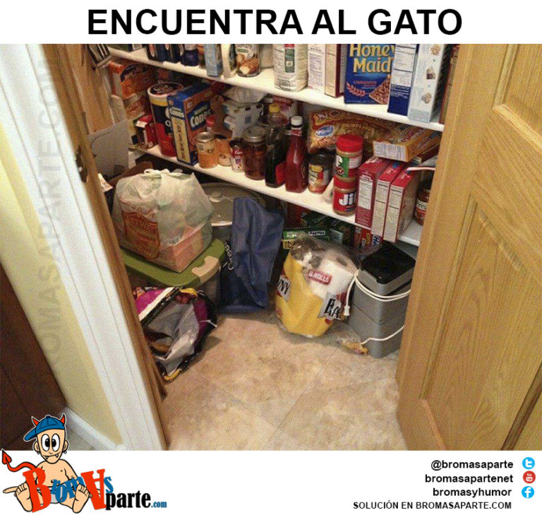 juegos-encuentra-al-gato