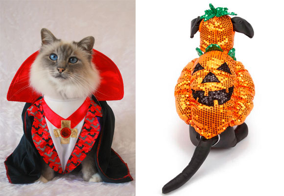 mejores-disfraces-para-animales-halloween-16