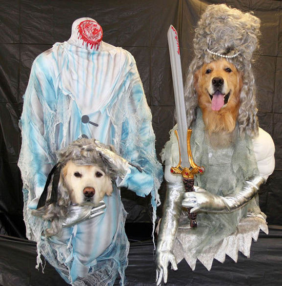 mejores-disfraces-para-animales-halloween-18