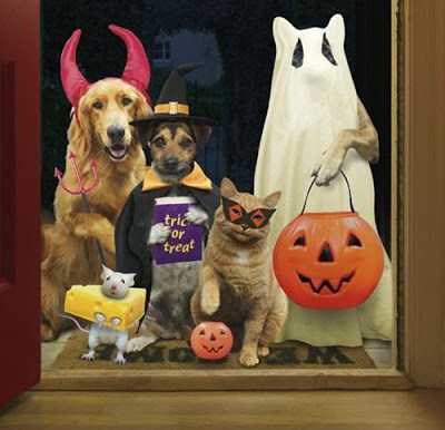 mejores-disfraces-para-animales-halloween-25