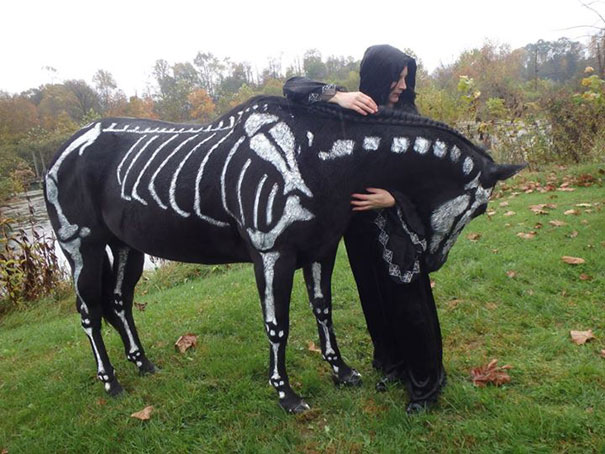 mejores-disfraces-para-animales-halloween-32