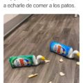 memes-covid19-humor-coronavirus-bromasaparte