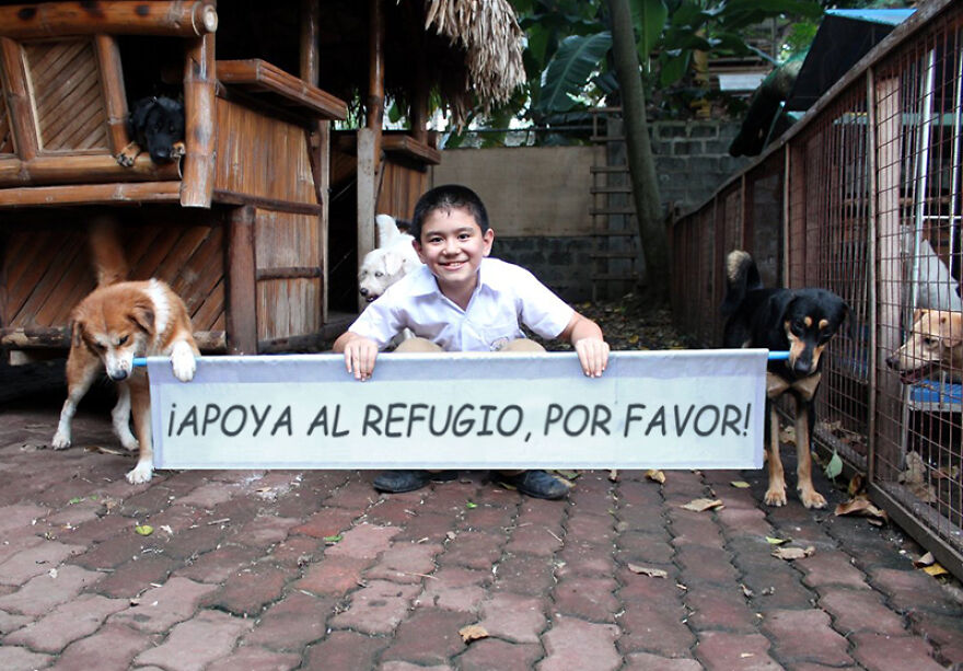 Este niño se escabullía de casa para alimentar a perros callejeros, y ahora tiene su propio refugio de animales