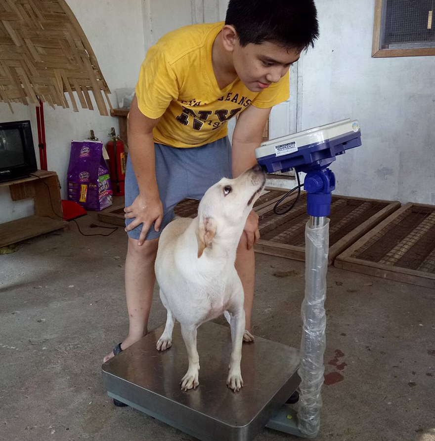 Este niño se escabullía de casa para alimentar a perros callejeros, y ahora tiene su propio refugio de animales