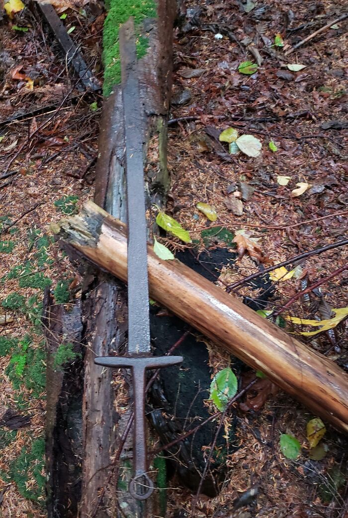 Encontré una espada caminando cerca de una antigua área talada. Columbia Británica, Costa Sur